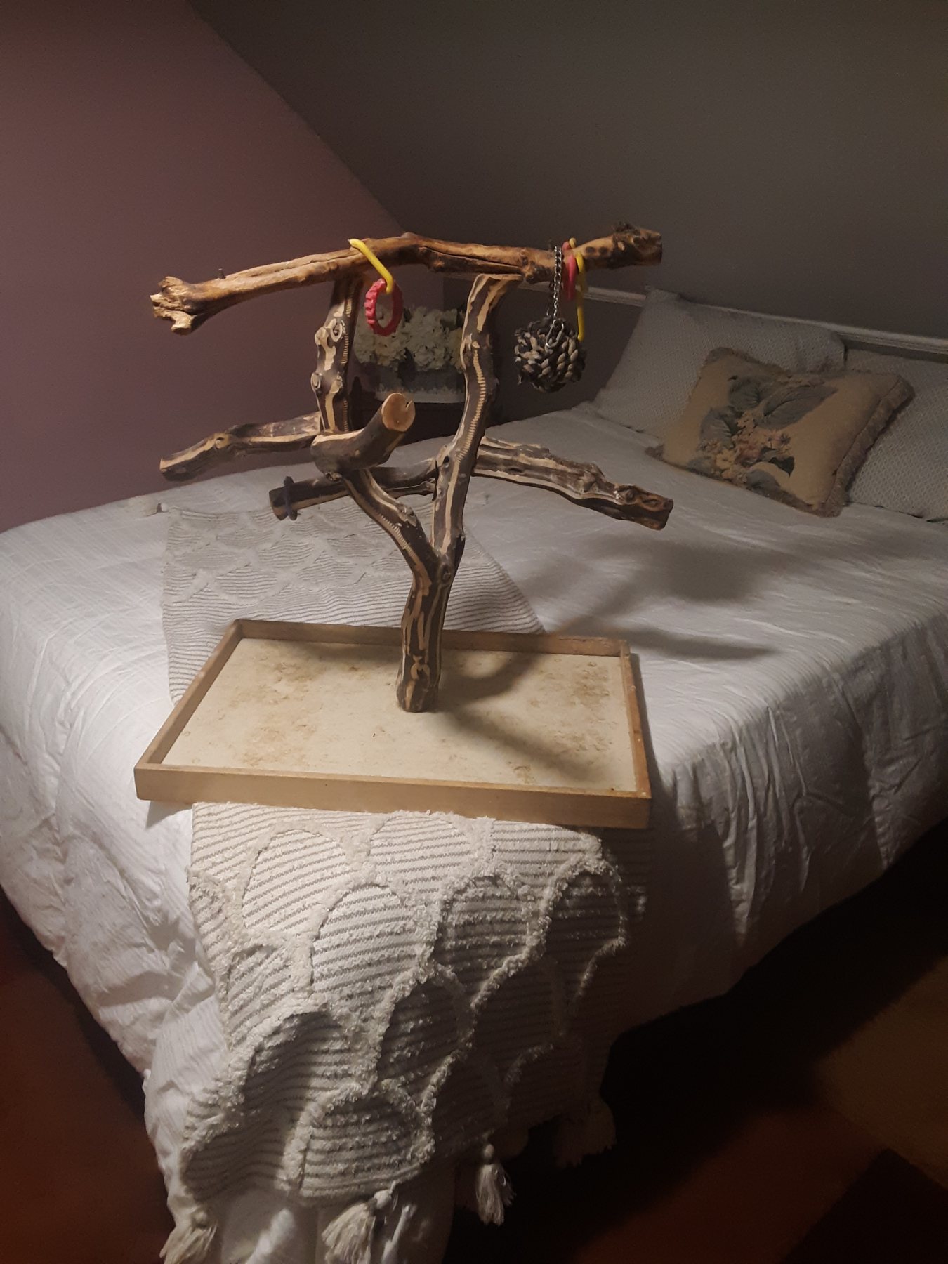 Large parrot play stand