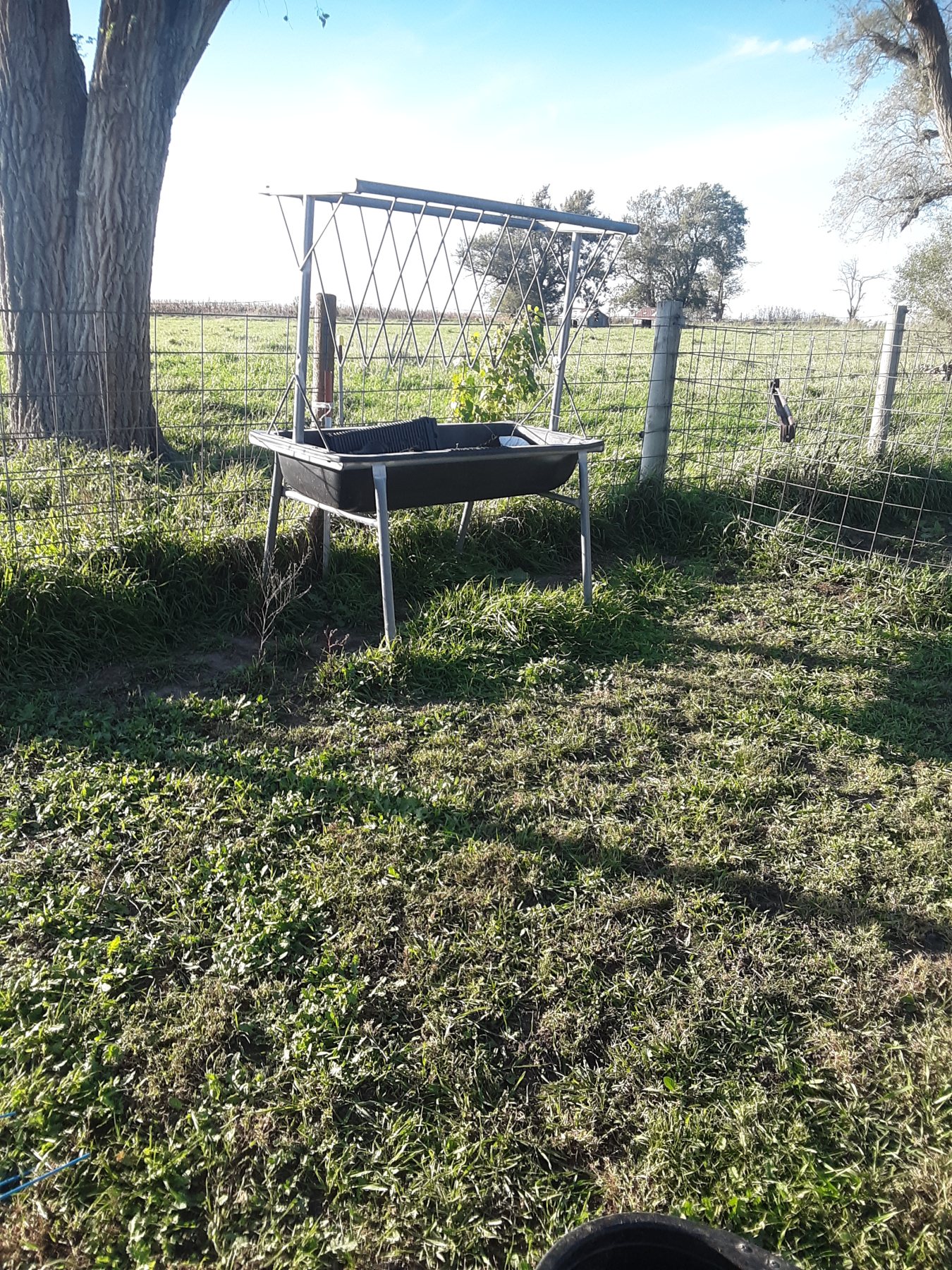 Hay and grain horse feeder